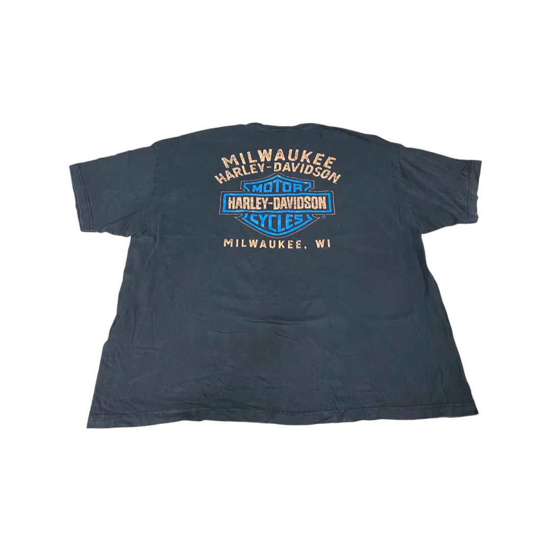 Pack Camisetas de HARLEY DAVIDSON